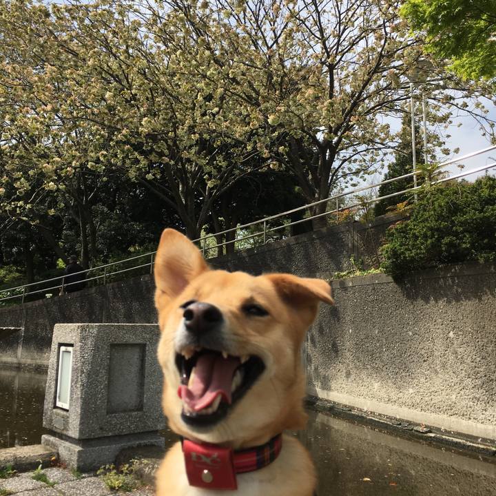 Ec68392d d66c 494b ac43 c484781469d2