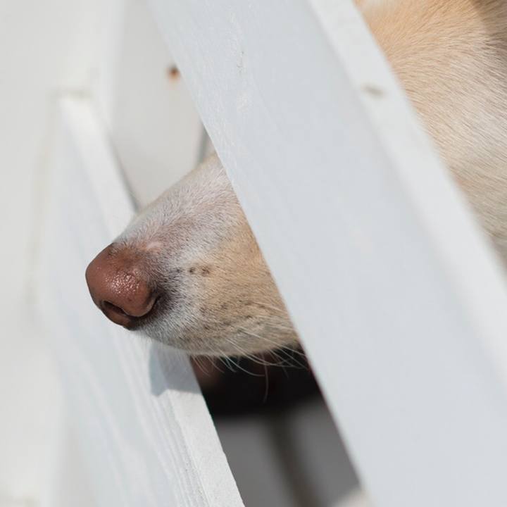 Ec683c51 a900 4c9e ac3f bdb56b6d90e4