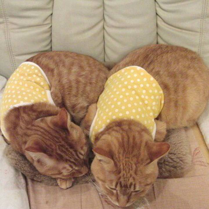 Ec69acb6 0f50 4139 a956 f55a57fb9ce3