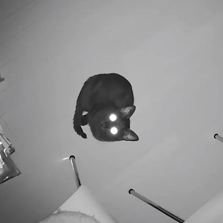 Ec69d4d6 eb35 438c 9299 e53bd20d11d6