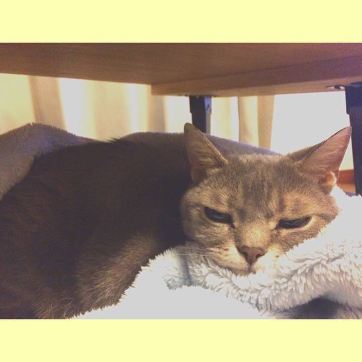 Ec6b0e64 293c 4c75 a849 33793fc93275