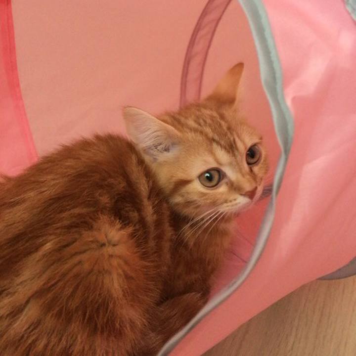 Ec6b41a7 0c23 42c0 abf2 cbbe0055cbd9