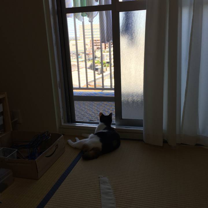 Ec6b95e1 af6b 4903 a221 cc05528a5278