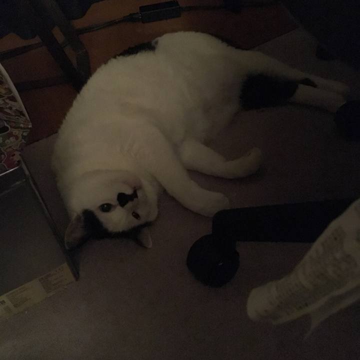 Ec6bb117 50e9 4a98 812b baf5e292d537