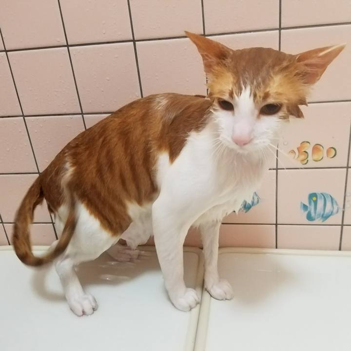 Ec6c1bbb c47f 4fc8 bea6 d80d360f64d9