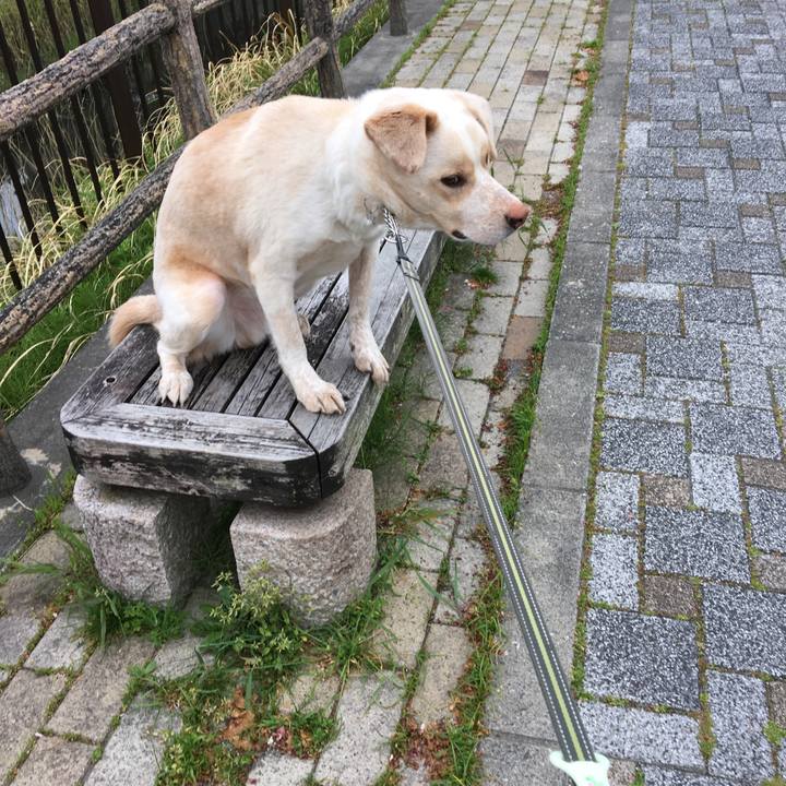 Ec6c6eda 0656 45bf 9cb5 b80f0f72e5e5