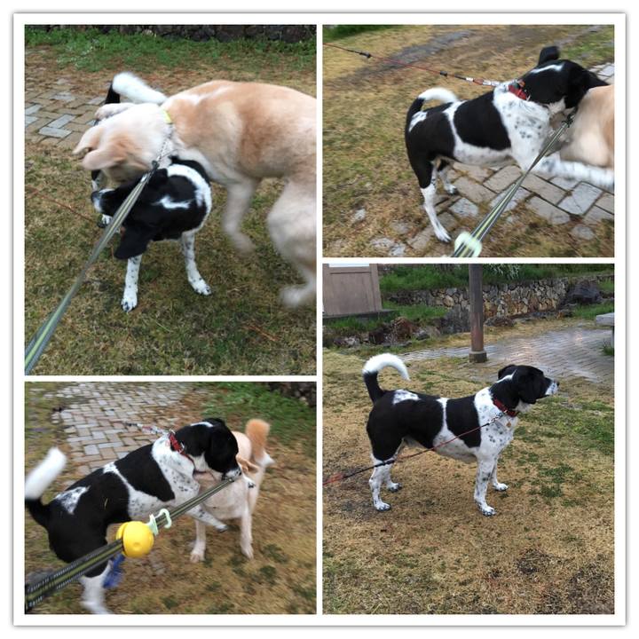 Ec6dfdd6 1363 4e93 be28 191923dccccd