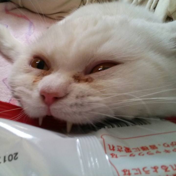 Ec6e5aa4 58f4 4226 98b8 37199f96b8c5