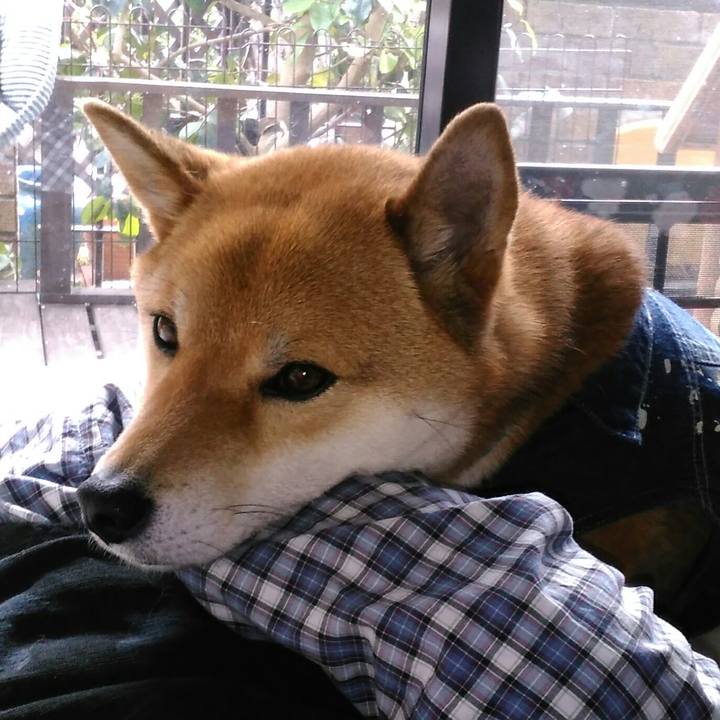 Ec6e99a5 48d0 48e0 b5c2 0024da0bb0c2