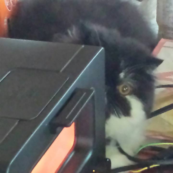 Ec6eb97b 8d6f 4941 b8e0 7fe8f1d20be5