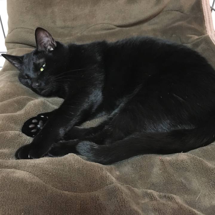 Ec6eed2a 1b62 40fd 8fd8 a72764279ba2