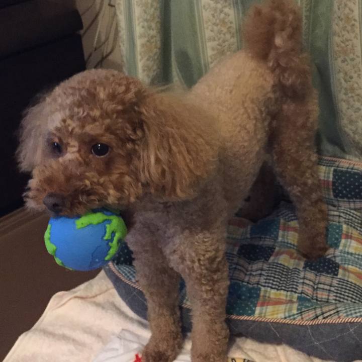 Ec6ef7a0 c9c7 4311 8732 5e6bb8aebb20