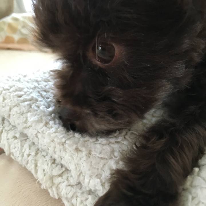 Ec6f1e20 9113 4a33 801b 553ba1dbc655