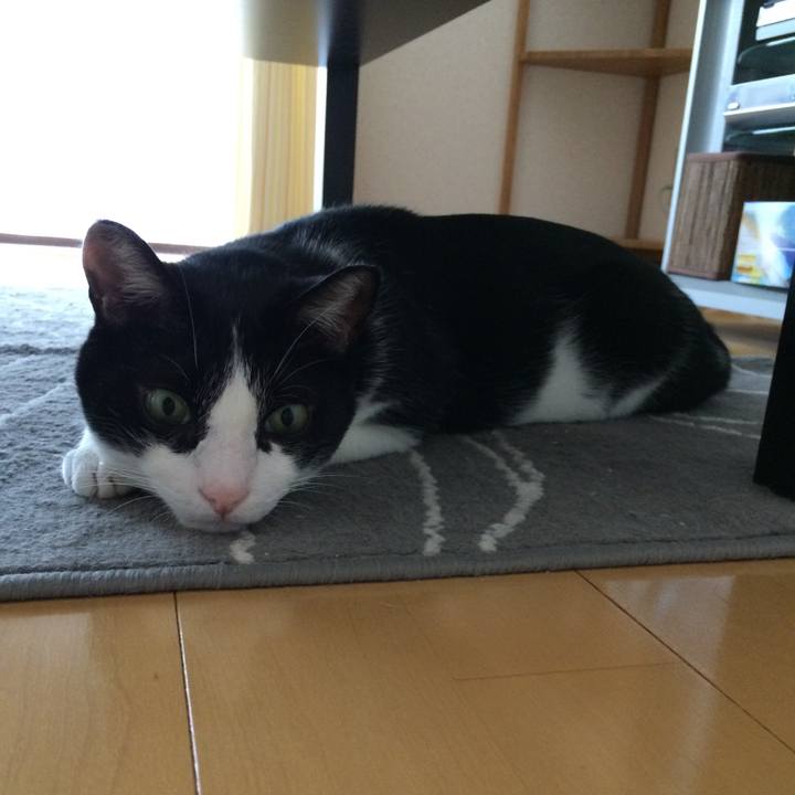 Ec7072a8 6880 4553 944f 64c01f53f718