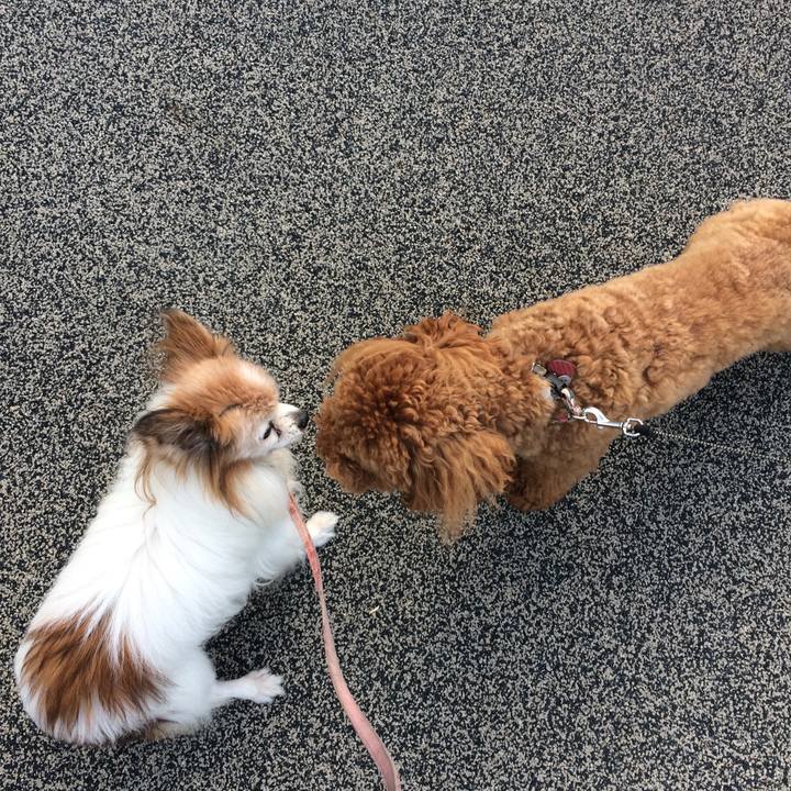 Ec707d6a 3331 416a 8175 9273e85c6986