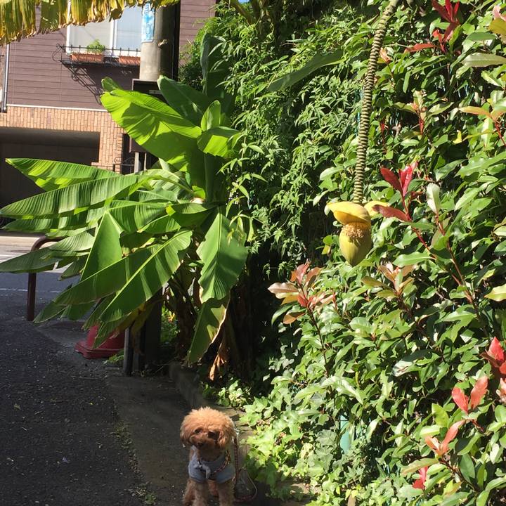 Ec709755 3945 4a8e 8334 da7599583381