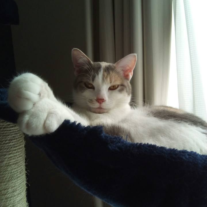 Ec716882 5df4 42aa 943f 8f7a2bb9e02d