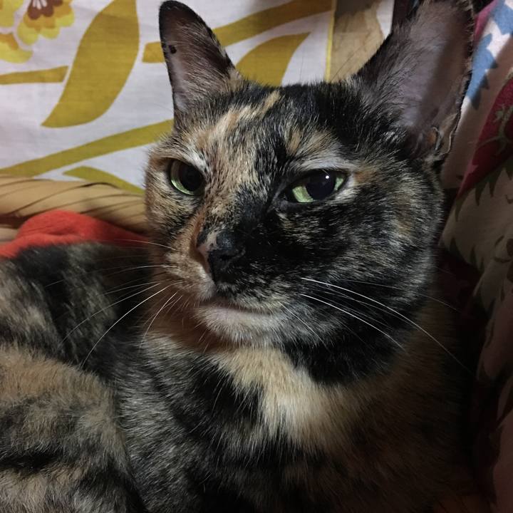 Ec73af60 40b3 40b3 92b8 313074464516