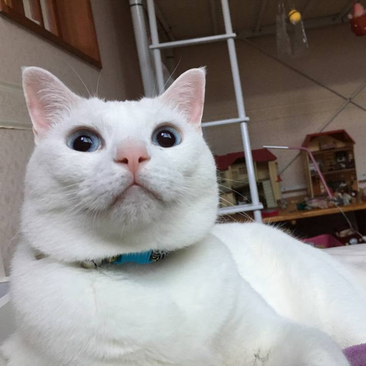 Ec74324c 6494 461d aa36 23d1f3b98ad3