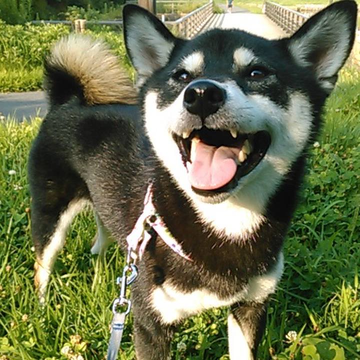 Ec751df0 f3b6 4065 a9a0 06f7e50ea30f