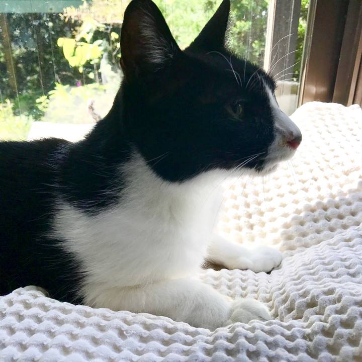 Ec756e67 601b 4a4e 998d e457b79b0d7c