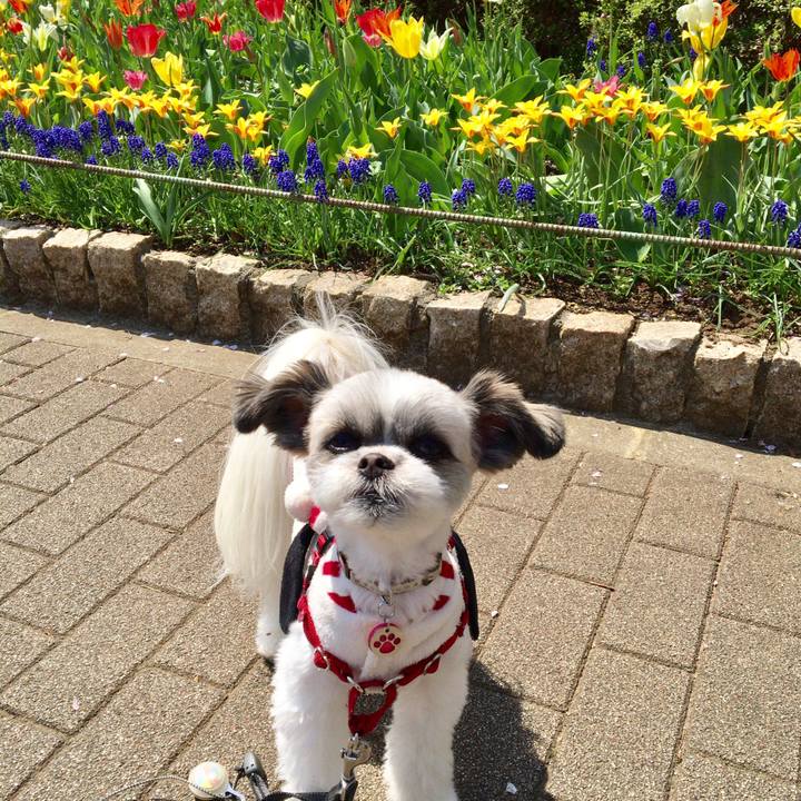 Ec75c225 e8e7 49e2 9a11 1841a4107025