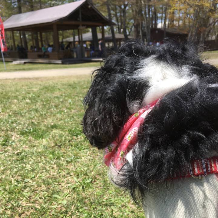 Ec761bbc e42b 4795 9975 a9622b1f68e1