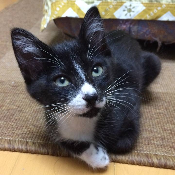 Ec7628d6 a228 4fe7 af2f 64e206c472de