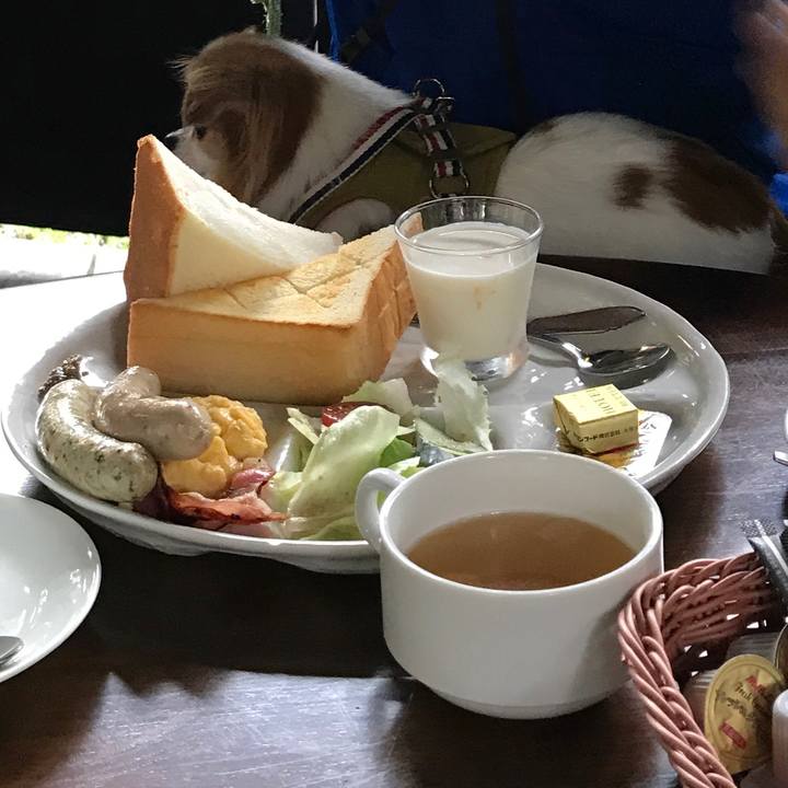 Ec775144 39e2 4dbe 9594 3f629a83cd75