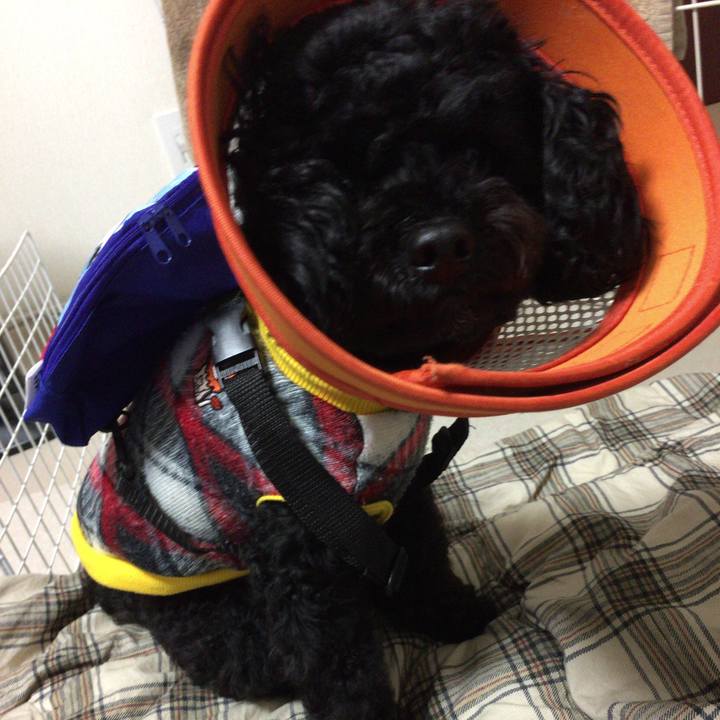 Ec7812fe d027 4dd7 b98c 1c1e8ff74cec