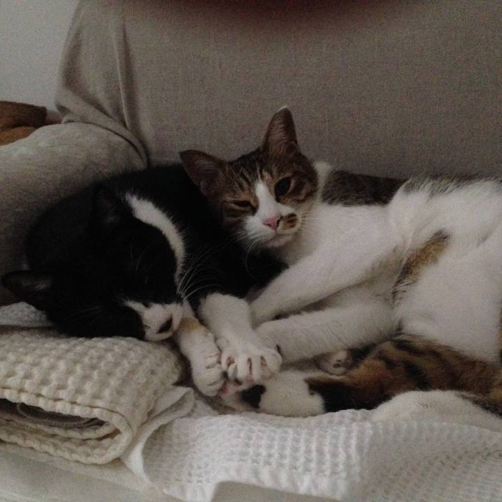 Ec784423 9863 46e4 b9c7 0ecaf2ce3997