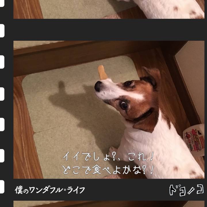 Ec788ad0 8a84 4abf b043 dadd91dc16e6