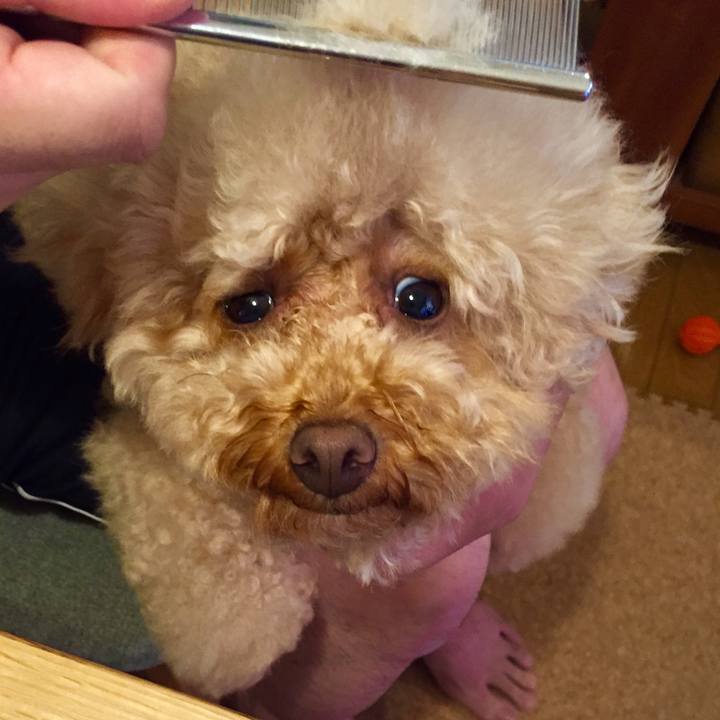 Ec7a0dd3 41e4 4bec 8c1f 720a5e19da8d