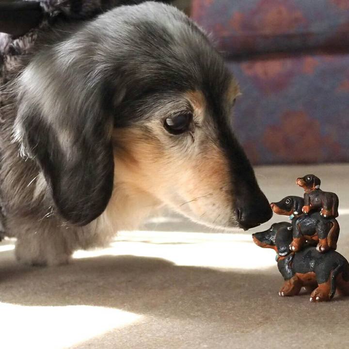 Ec7ae20a c01b 4420 990b 5c8003a1fb3f