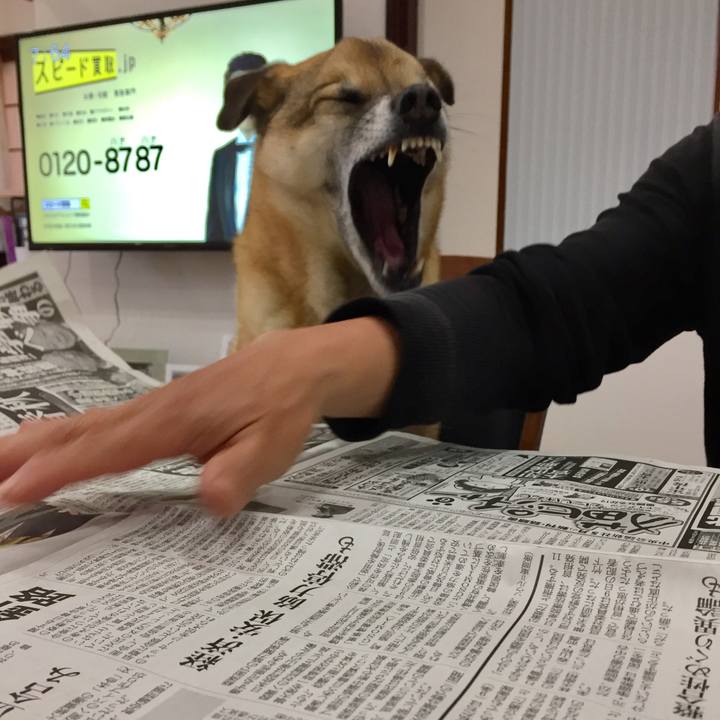 Ec7b35b0 e471 4c57 b8f9 f5c5d9c08667