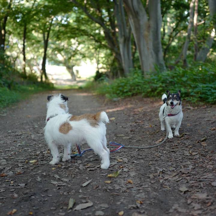 Ec7b7c94 4467 42e7 af66 c346f8b65532