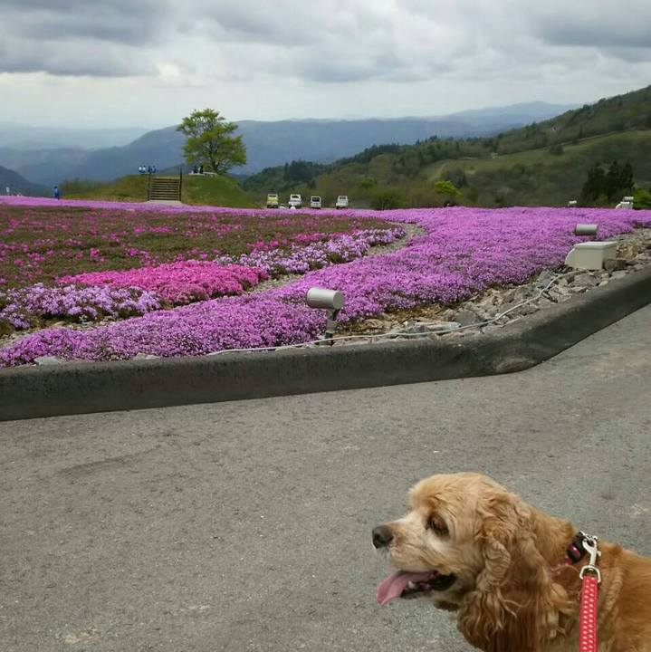 Ec7b812b 3abe 467c b4fb feda24cb2270