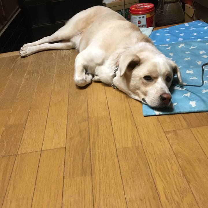 Ec7b8fea 25fc 4798 9b94 f4d5bd41183a