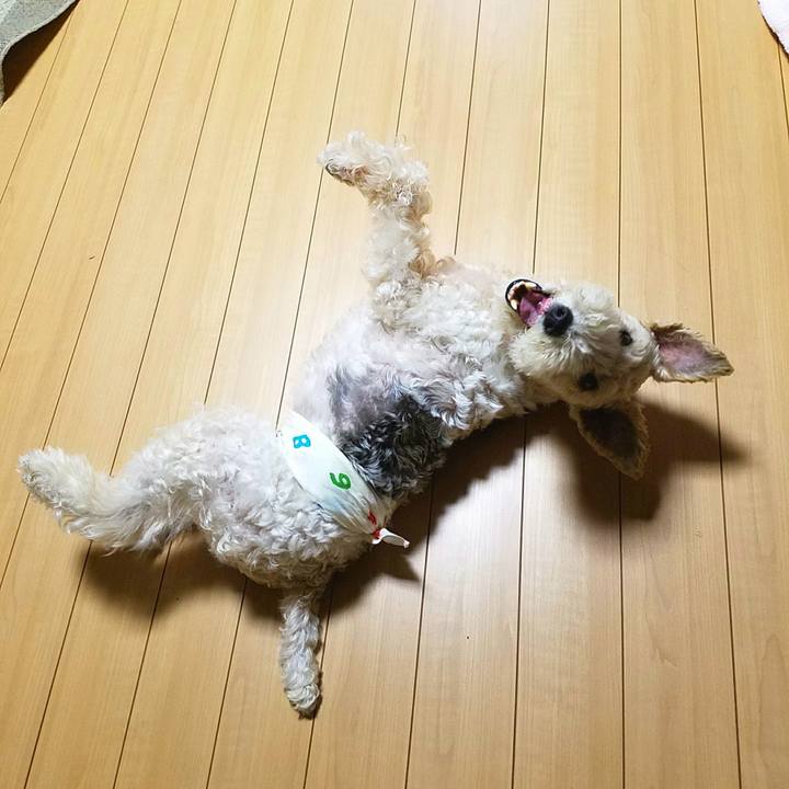 Ec7c283a c814 492b b5d4 78f1a6fa6e6e