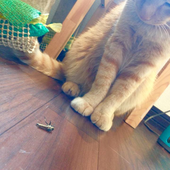 Ec7cedb6 8efb 4c27 a5cf 92030e55e3d7