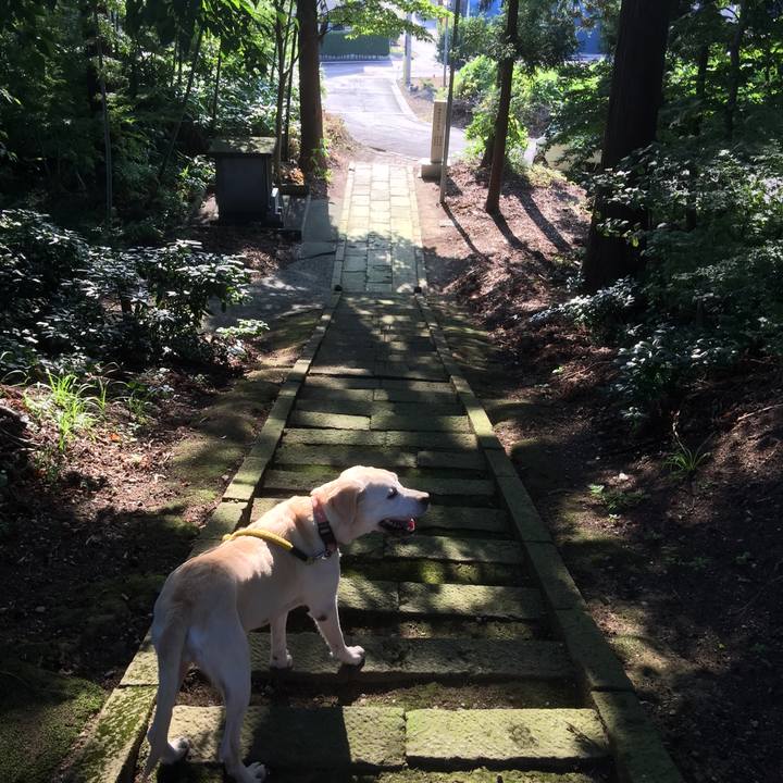 Ec7d1ded c091 4022 af16 16a02a66b879