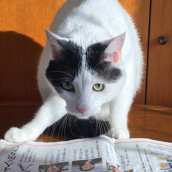 Ec7d6f04 ea73 467b b0d3 f9ec3ece45f3