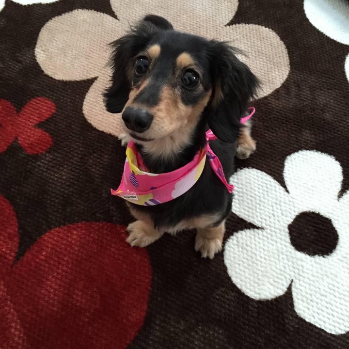 Ec7d83f2 4441 4456 bf50 2362f5ce8545