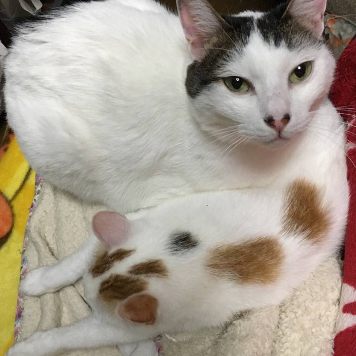 Ec7dbd69 d530 4f25 889b 291b5dea7226