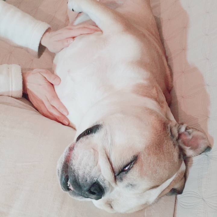 Ec7e7474 10d4 45d2 85b4 0847317c7a7f