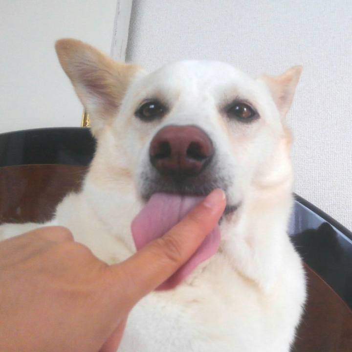 Ec7ea87a ce28 4e1c b194 617e2c2a7bd3