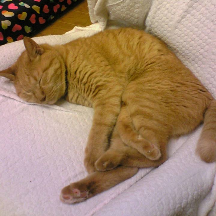 Ec7f1313 60cc 404c 89f5 23fb43ff31b0