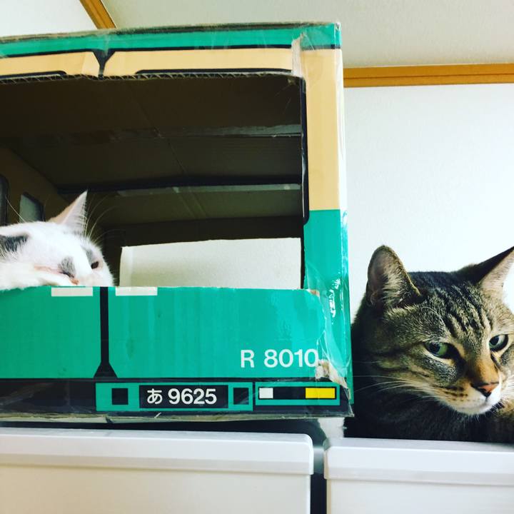 Ec7f7979 439c 4416 9f9f 4d958917ea62