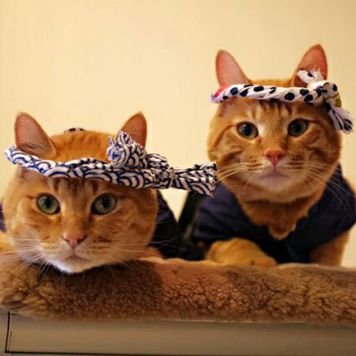 Ec80aab5 ba15 41be 8755 67569dc14b37