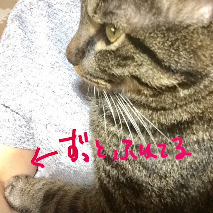 Ec80e12a 632d 4140 87f6 add20c44f6a3